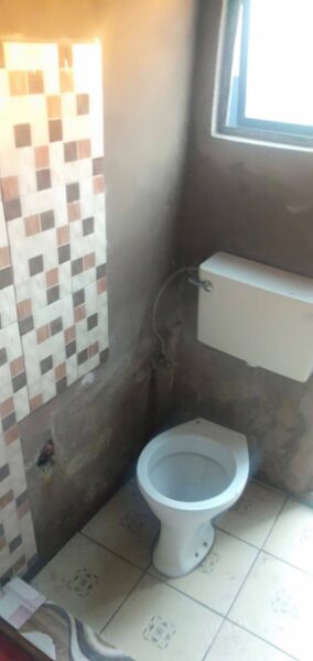 Quarto T1
