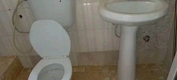T1