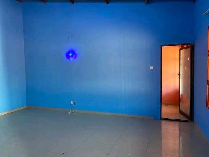 T3