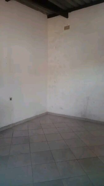Tipo 1