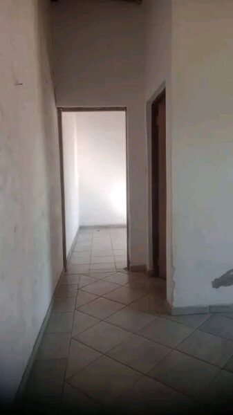 Tipo 1