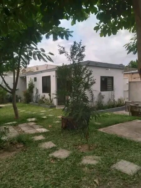 Tipo 1