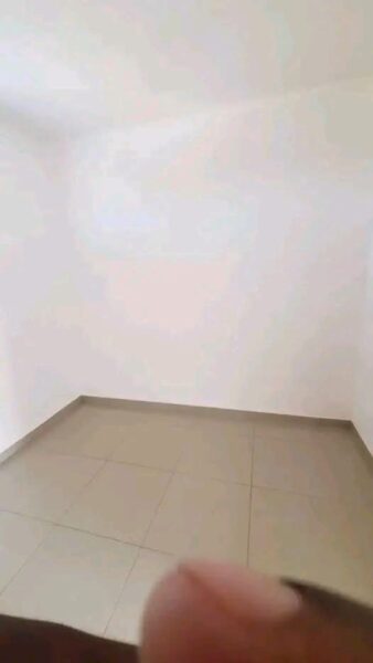 Aluguel anexo tipo1🏠
