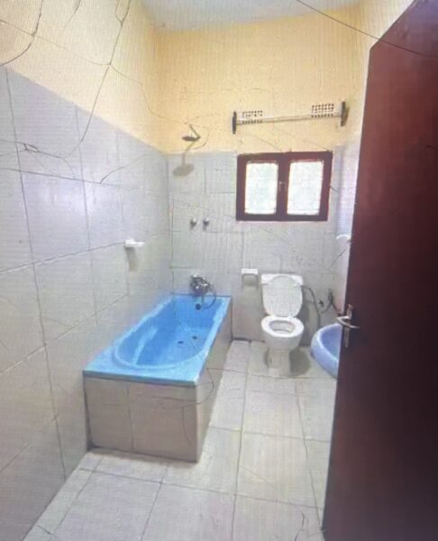 Tipo 2