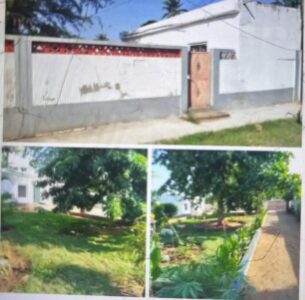 Casa tipo 1