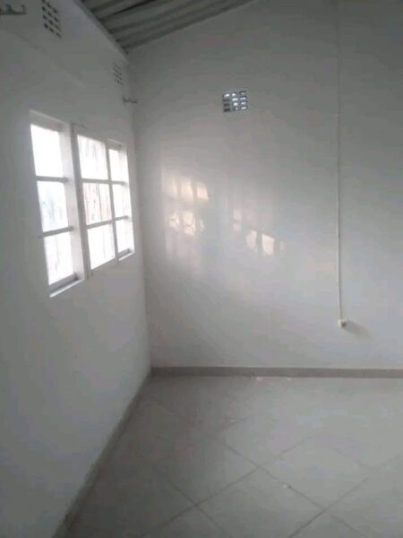 BELÍSSIMA DEPENDÊNCIA T1 NO BAIRRO DA POLANA CANIÇO, NUM QUINTAL DE 2 CASAS SEGURAS.