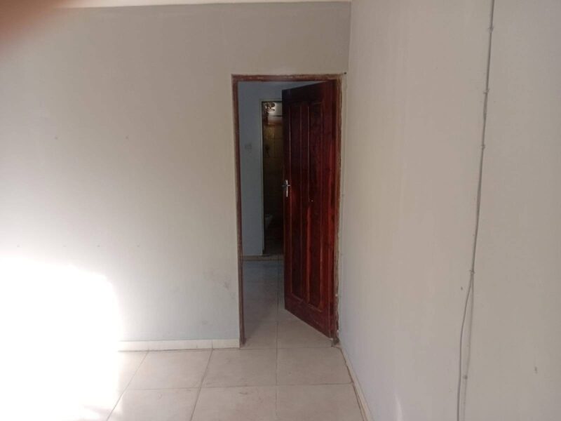 Tipo 1 no Choupal rua 2