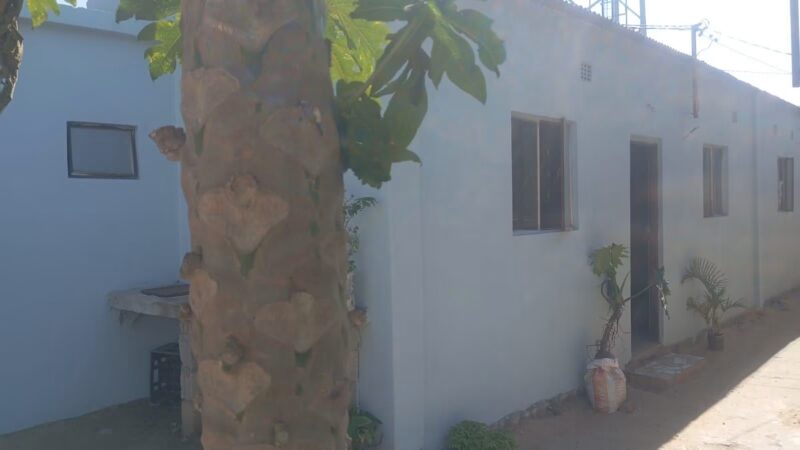 ARRENDA se casa T1 no bairro choupal