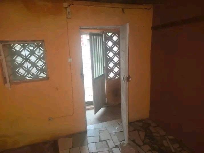 Casa Tipo 1