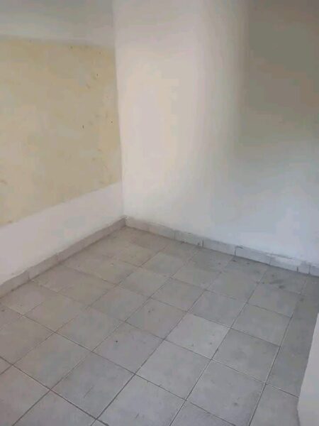 Casa tipo 1