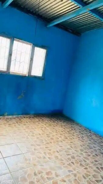 Casa tipo 1