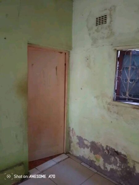 Casa tipo 1
