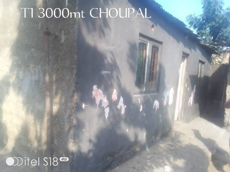 Casa tipo 1
