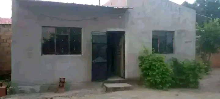 arenda se está casa T1