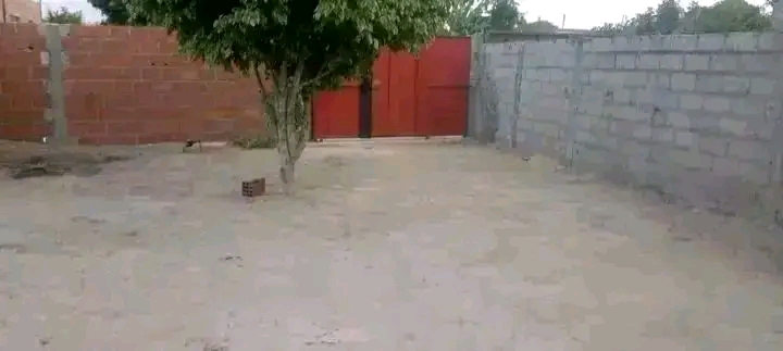 arenda se está casa T1