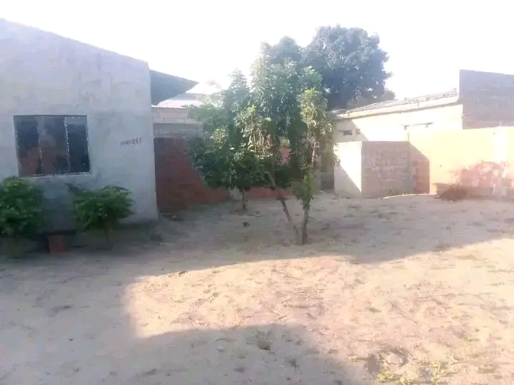arenda se está casa T1