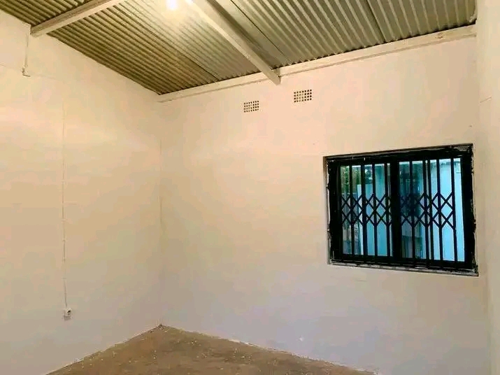T1