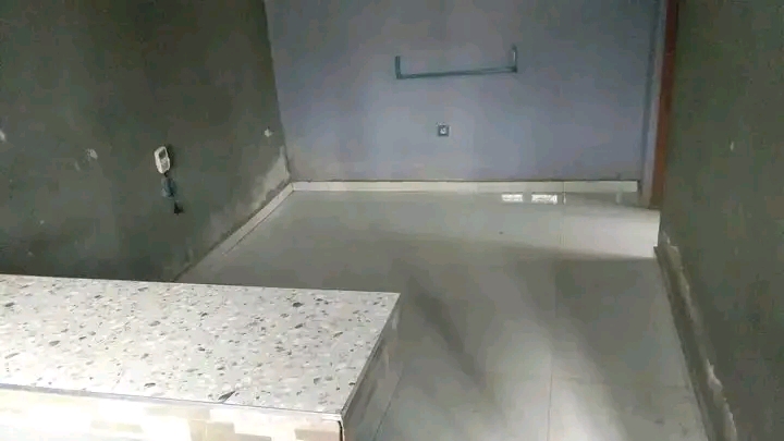 T1