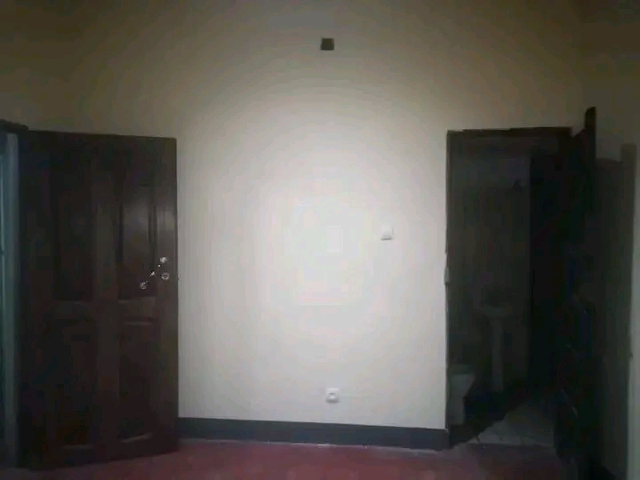 T1