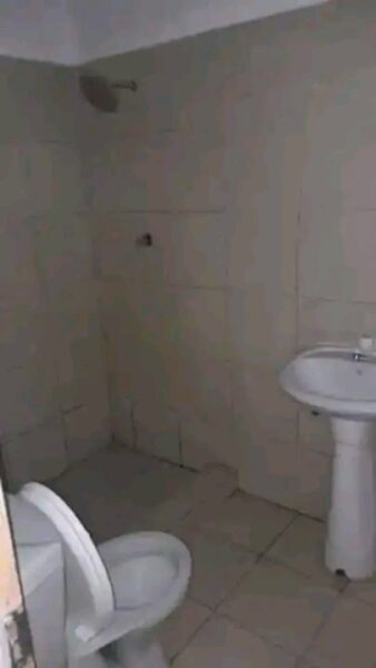 T1