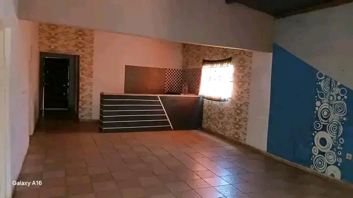 T3