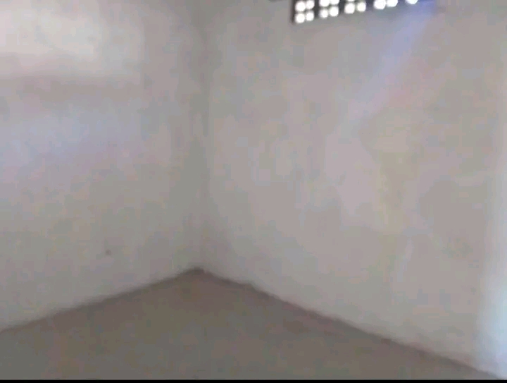 T2