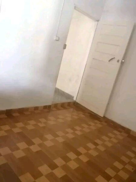 T1