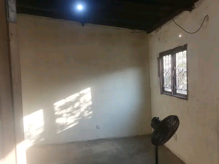 T1