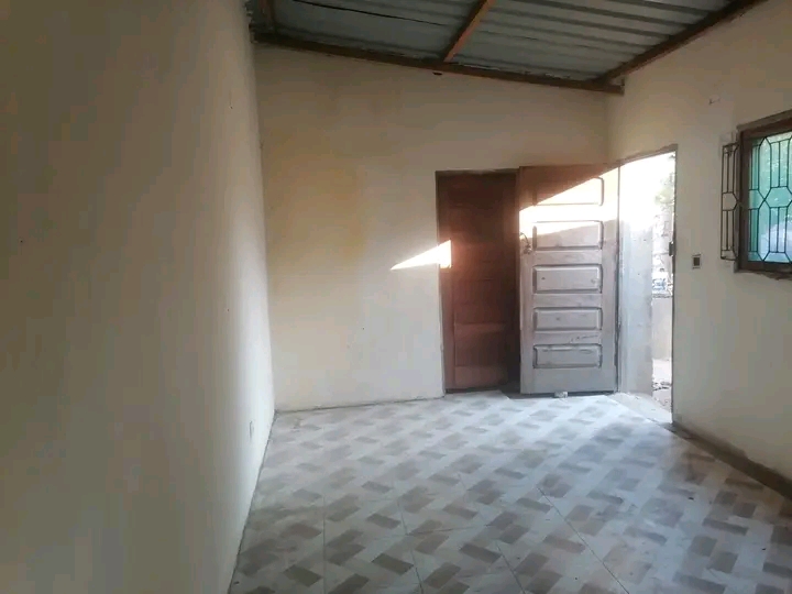T1