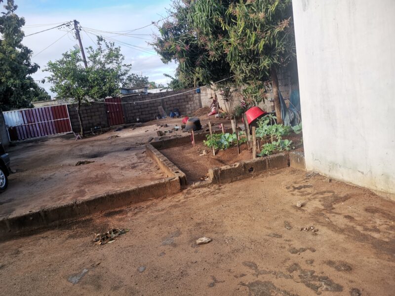 Casa tipo 2