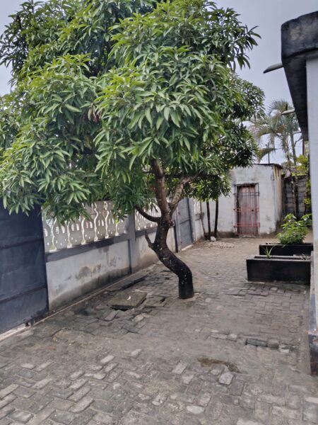 🏠 CASA VIRGEM MOBILIADA – Sagrada| Quelimane