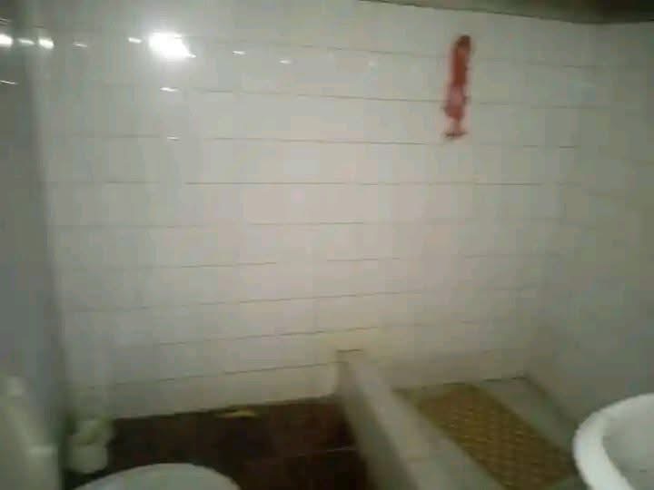 Arrenda se T3 independente