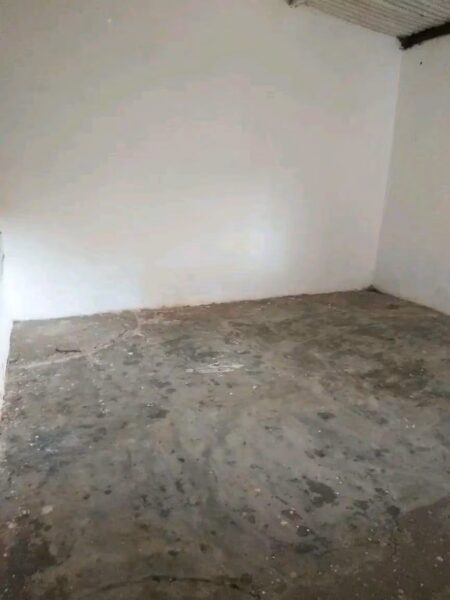 Casa tipo 1