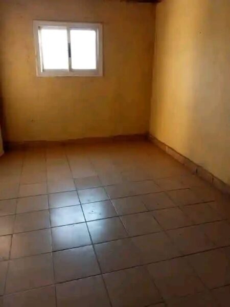disponível tipo 1