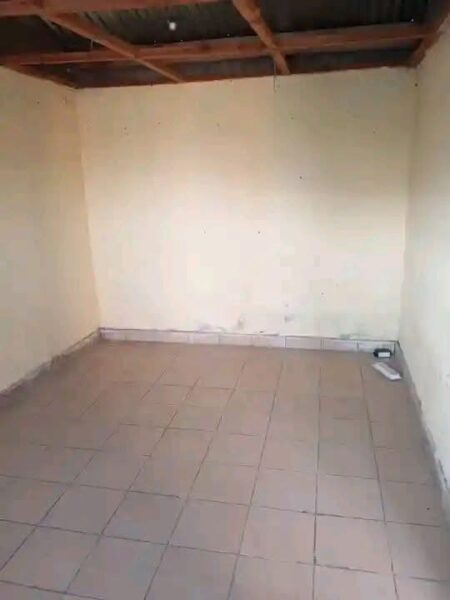 disponível tipo 1