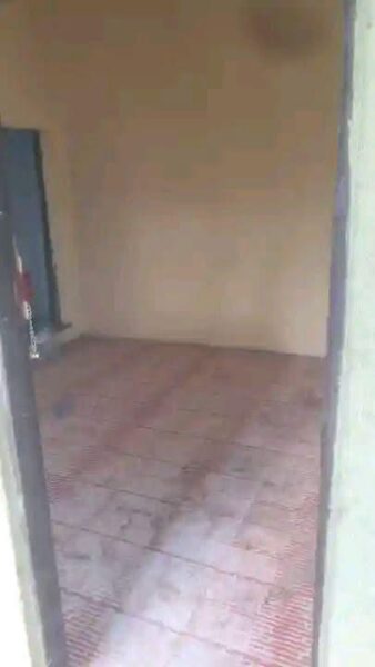 🏡Casa tipo 1🏡