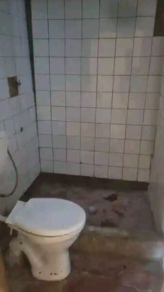 🏡Casa tipo 1🏡