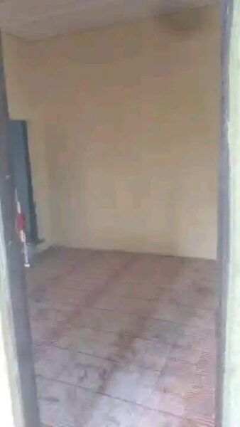 🏡Casa tipo 1🏡