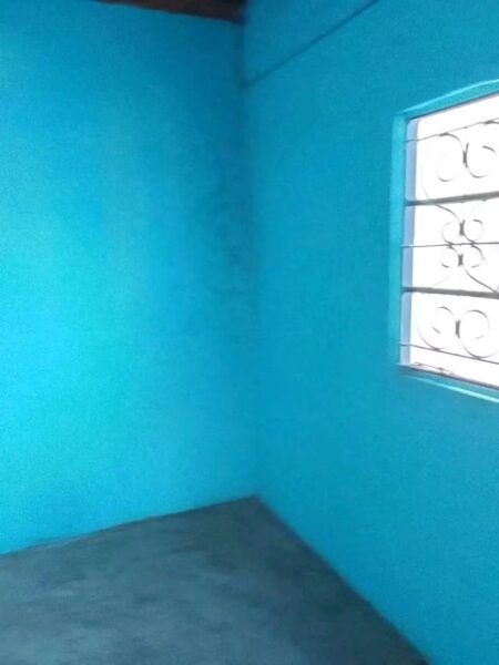 Casa tipo 1