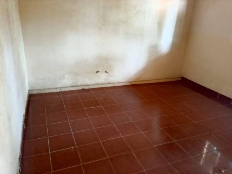 Casa tipo 1