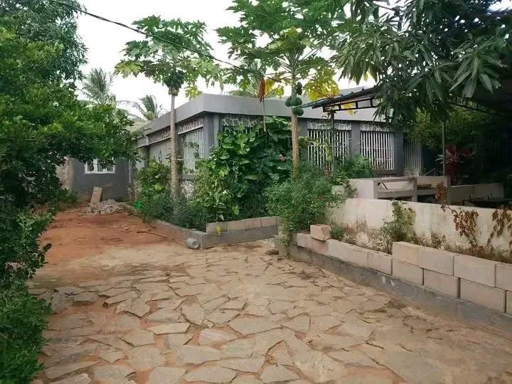 Aluguel de casa
