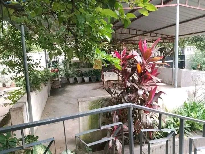 Aluguel de casa