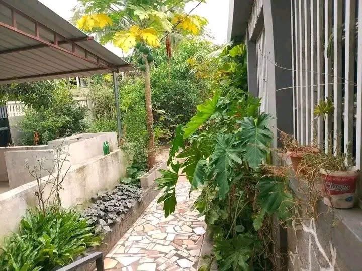 Aluguel de casa