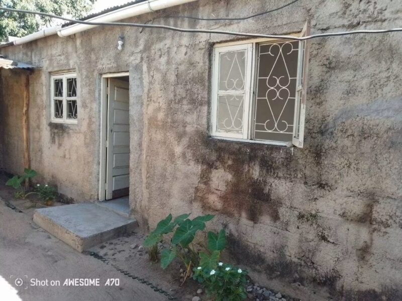 Casa tipo 1
