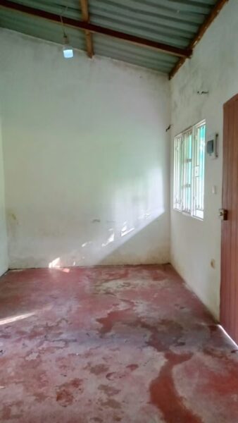 Casa tipo 1