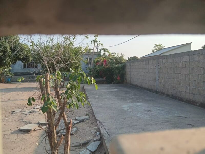 Casa tipo 2
