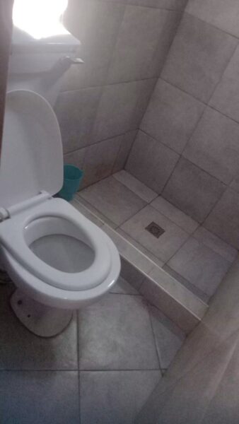 Tipo 1