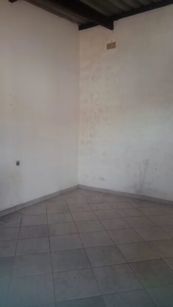 Tipo 1