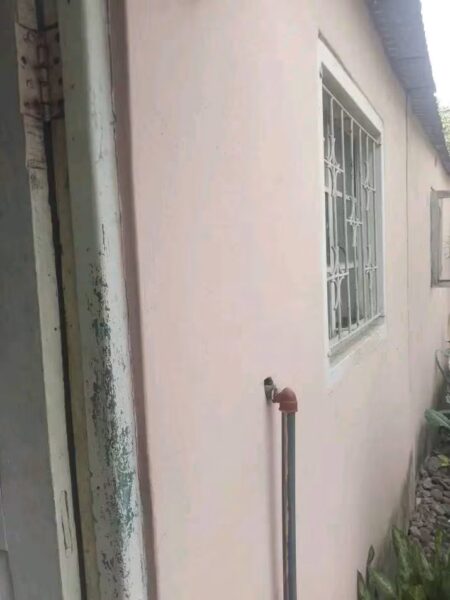 Casa tipo 1
