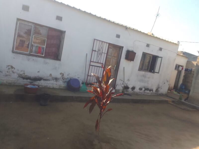Casa tipo 1